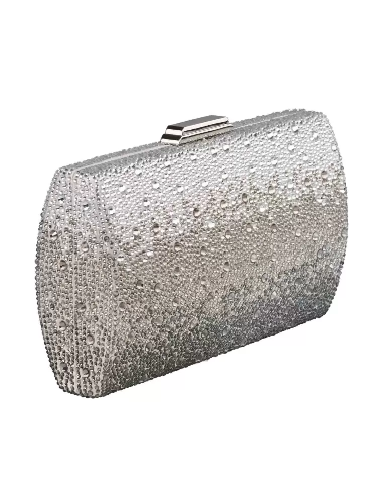Anna Cecere white silver shadows crystals lavish jewel bag