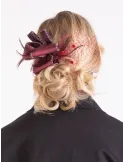 Formal hairstyles Combs with ribbon and plumes by Complit