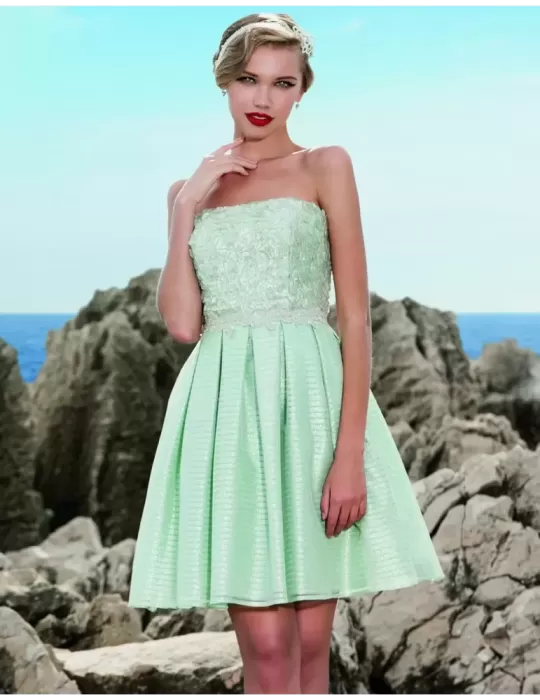 Sonia Peña 11160069 lurex mesh skater dress